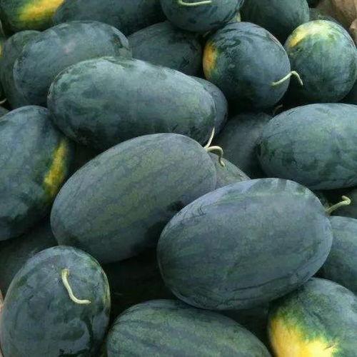 江瓜怎么吃,解锁夏日清新美味