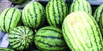 吃瓜围观图片大全