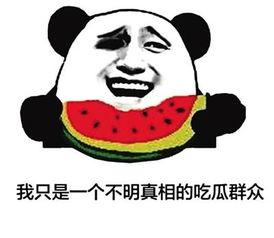 网络语言吃瓜群众,吃瓜群众的崛起与影响