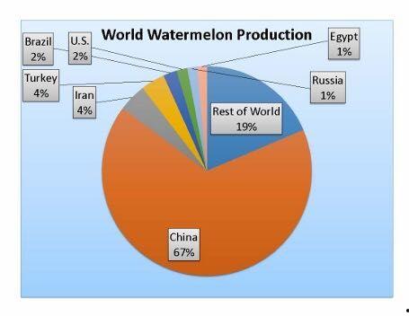 吃瓜趋势,揭秘吃瓜群众的潮流趋势