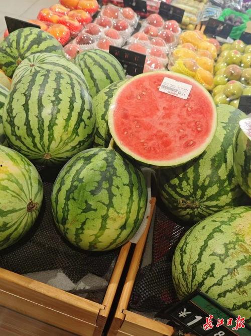 吃瓜甜种瓜难,揭秘瓜果种植的甜蜜与挑战