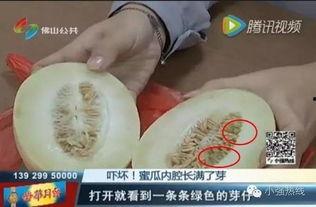 梦见买蜜瓜在吃蜜瓜,揭秘买蜜瓜与吃蜜瓜的神秘寓意