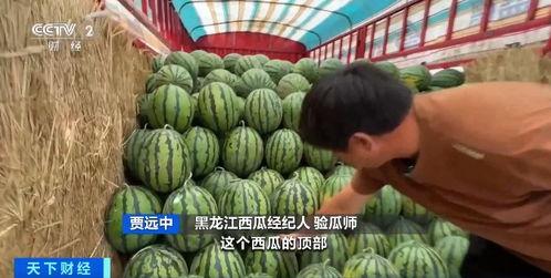 吃瓜的魏桥,揭秘娱乐圈幕后风云