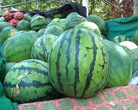 怎么最近都在吃瓜