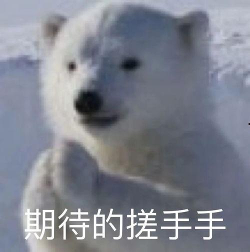 兔哥吃瓜,揭秘娱乐圈那些不为人知的幕后故事