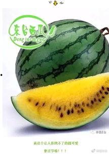 穿到民国吃瓜开启