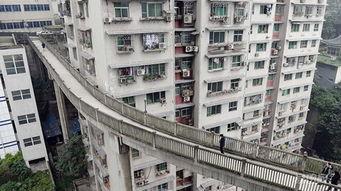 带你吃瓜重庆天桥