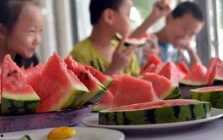 台湾吃瓜节,一场别开生面的美食狂欢盛宴