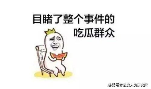 上班每天吃瓜