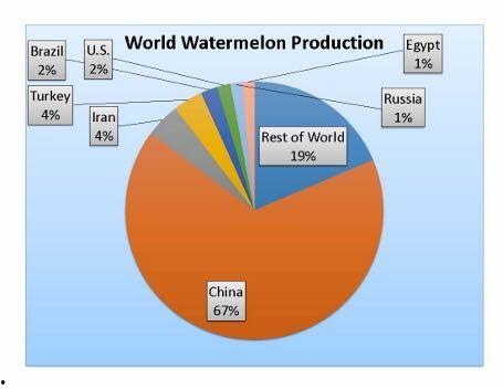 吃瓜看趋势,揭秘社会趋势的趣味视角