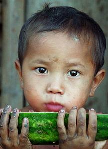 吃瓜少年是什么