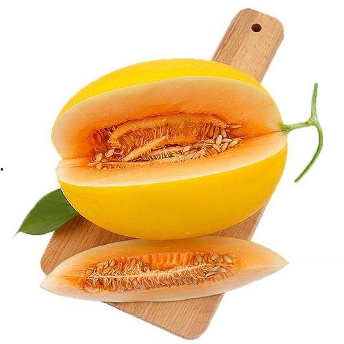 吃蜜瓜嘴里起泡,揭秘嘴里起泡的奥秘