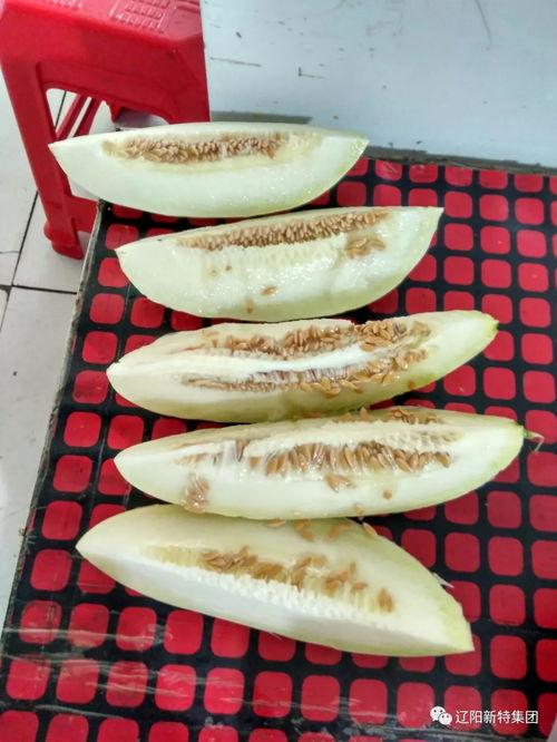 吃呱呱带你吃瓜,吃瓜群众带你领略美食世界